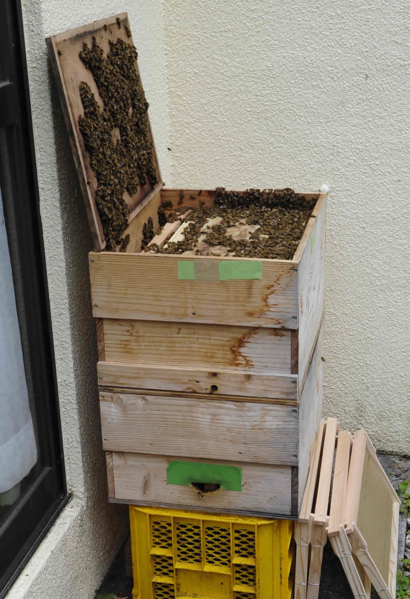 意蜂平面隔王板 蜂具批发 养蜂工具-优质企商网